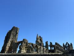View of the Abbey - for free
